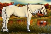 Horse Color:Palomino Dun Tobiano 