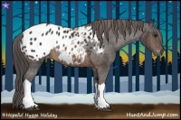 Horse Color:Brown Appaloosa Rabicano  Brindle