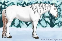 Horse Color:Brown Sabino Splash Tobiano Appaloosa Rabicano  Brindle