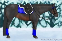 Horse Color:Brown Rabicano Brindle