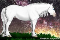 Horse Color:Gray Silver Sable Champagne Splash