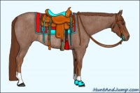 Horse Color:Red Roan Rabicano