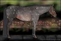 Horse Color:Brown Rabicano Brindle