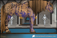 Horse Color:ERROR: UNKNOWN ANOMALY Brindle