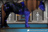 Horse Color:ERROR: UNKNOWN ANOMALY Brindle