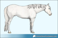 Horse Color:Cremello Roan Dun Sabino