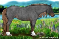 Horse Color:Liver Red Roan