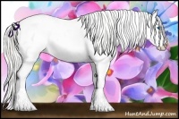 Horse Color:Cremello Sabino Splash 