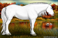 Horse Color:Gray Plaid Cremello Dun Splash