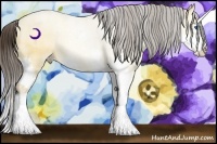 Horse Color:Amber Champagne Dun Splash