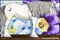 Horse Color:Amber Cream Champagne Dun Splash