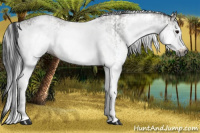 Horse Color:Gray White Spotted Grullo  and Gray White Spotted Grullo 