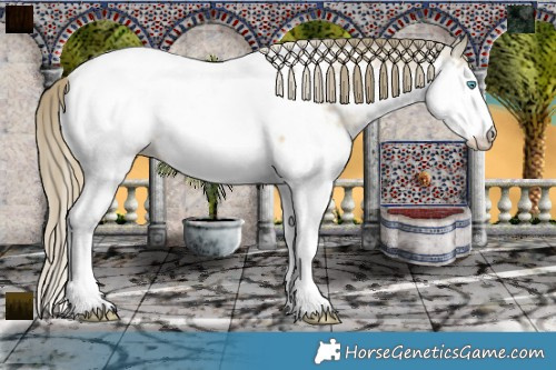 Horse Color:Smoky Black Pearl Splash Snowcap 
