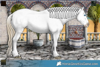 Horse Color:Smoky Black Pearl Splash Appaloosa 