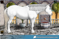 Horse Color:Smoky Black Pearl Splash Appaloosa 