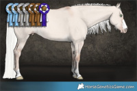 Horse Color:Gold Champagne Dun Mushroom 