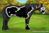 Horse Color:Black Ice Frame 