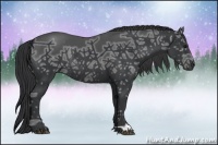 Horse Color:Black Ice Rabicano 