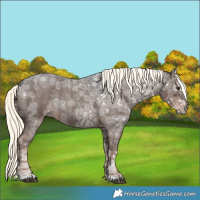 Horse Color:Liver Red Ice Roan Mushroom 