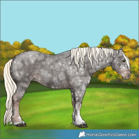 Horse Color:Liver Red Ice Roan Mushroom 
