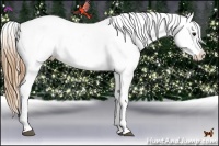 Horse Color:Black Pearl Appaloosa