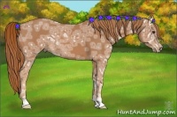 Horse Color:Chestnut Ice 