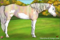 Horse Color:Nacre Silver Amber Champagne Dun Splash Frame 