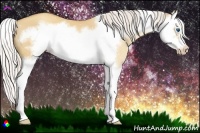 Horse Color:Silver Amber Champagne Dun Splash Frame 