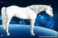 Horse Color:Silver Amber Champagne Dun Splash Frame Varnish 