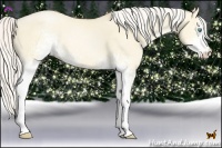 Horse Color:White Spotted Silver Buckskin Pearl Dun 
