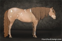 Horse Color:White Spotted Bay Pearl 