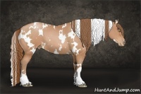 Horse Color:White Spotted Bay Pearl 