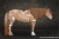 Horse Color:White Spotted Brown Pearl Sabino Rabicano