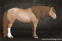 Horse Color:Bay Pearl Rabicano 