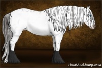 Horse Color:Liver Chestnut Frame 