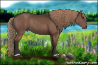 Horse Color:Liver Chestnut Rabicano