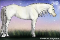 Horse Color:Liver Chestnut Frame