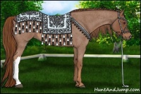 Horse Color:Red Roan 