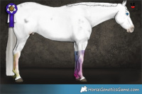 Horse Color:Liver Chestnut Mushroom Splash Frame 