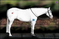 Horse Color:Liver Chestnut Frame 