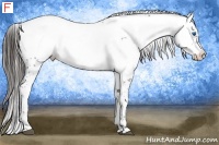 Horse Color:Liver Chestnut Frame 