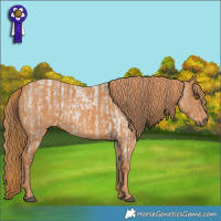 Horse Color:Liver Red Roan Brindle