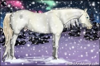 Horse Color:Chestnut Splash Appaloosa