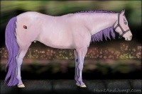 Horse Color:Watercolor Buckskin Pearl Brindle