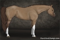 Horse Color:Liver Red Dun 