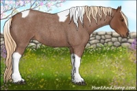 Horse Color:Red Roan Tobiano 