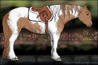 Horse Color:Chestnut Tobiano  and Chestnut Tobiano 