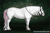 Horse Color:Watercolor Liver Chestnut Splash Appaloosa Rabicano Brindle