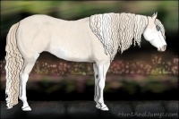 Horse Color:Perlino Sabino Brindle