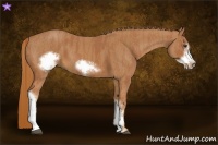 Horse Color:Chestnut Frame  Brindle